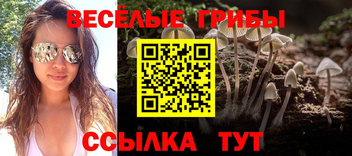 Псилоцибиновые грибы прущие грибы Ижевск